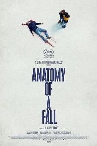 Anatomy of a Fall (2023) Hollywood Hindi Dubbed